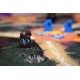 Root: The Vagabond Pack
