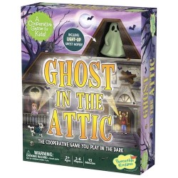 Ghost In the Attic