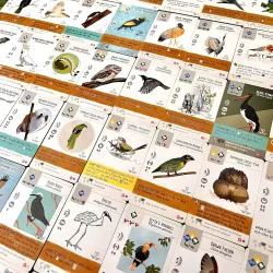 Wingspan: Fan Art Pack
